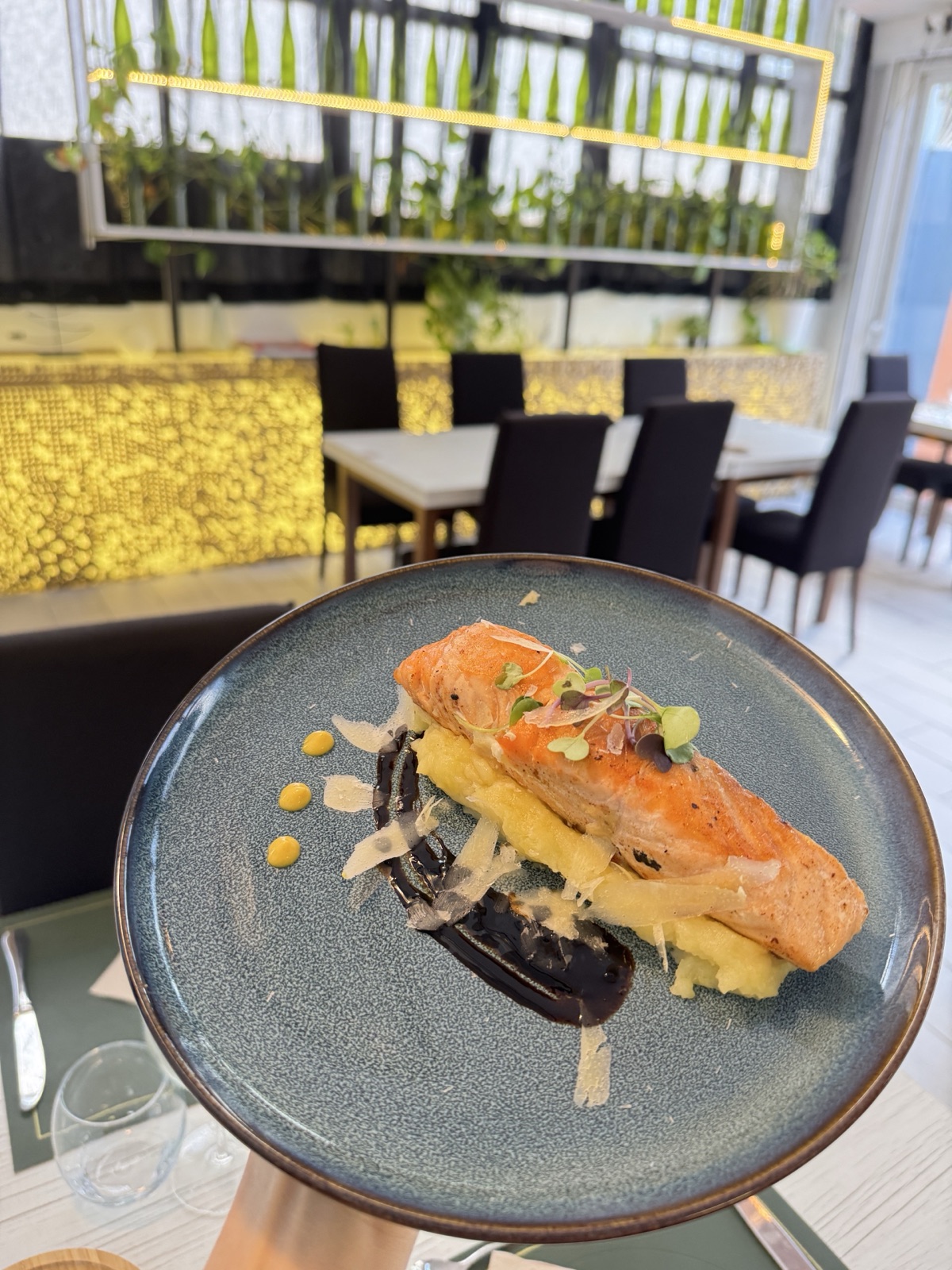 Salmon servido en Essencia Restaurant
