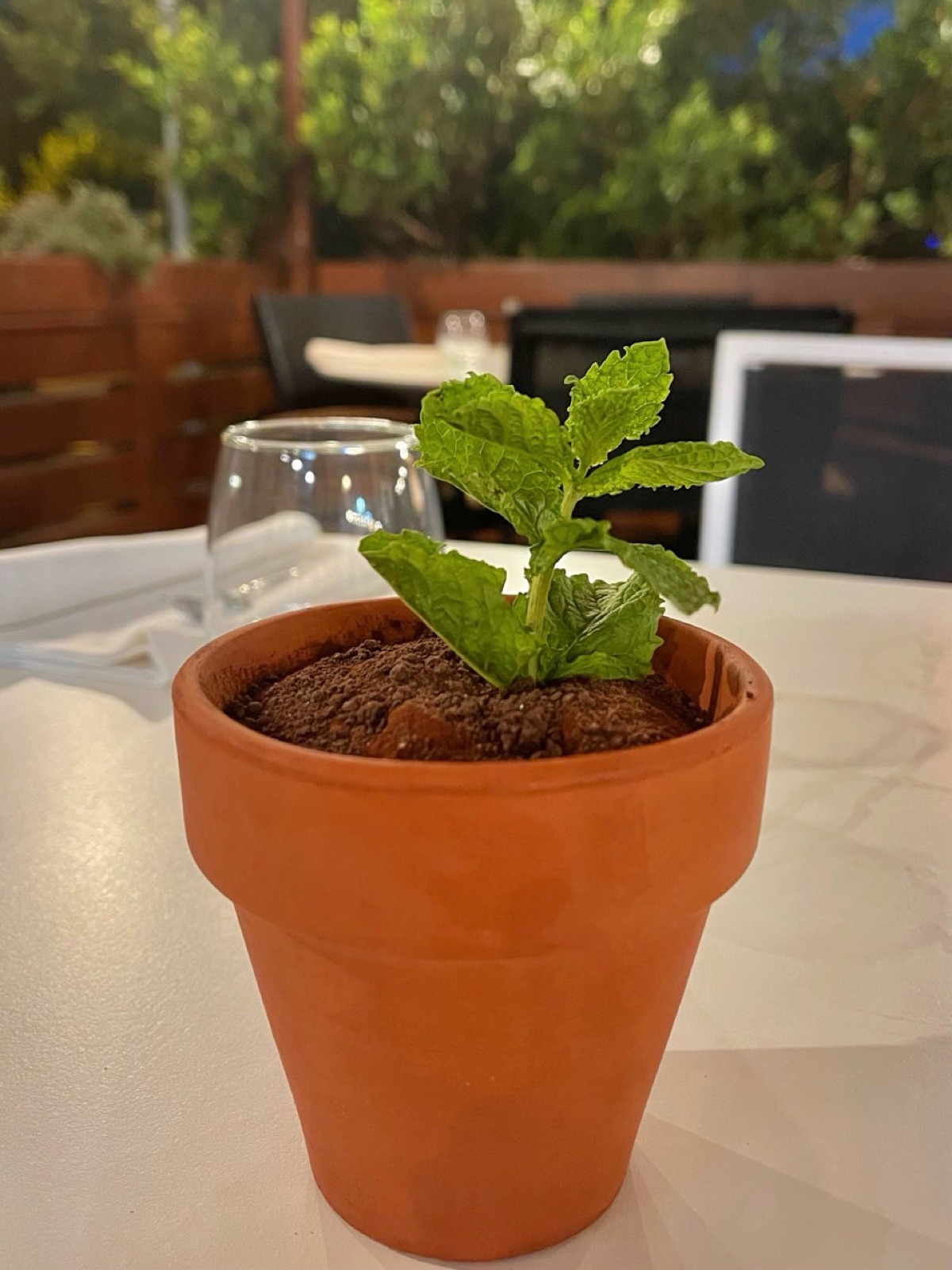 Postre de chocolate servido en maceta
